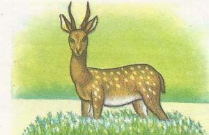 সময়ৰ শৰ মাৰিব নাজানিলে শৰ পহুৰ মঙহ খাবলৈ আশা কৰা মিছা —ভাব সম্প্রসাৰণ সময়ৰ শৰ মাৰিব নাজানিলে শৰ পহুৰ মঙহ খাবলৈ আশা কৰা মিছা