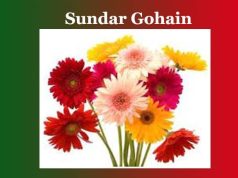 সোন্দৰ গোহাঁই। Sundar Gohain সোন্দৰ গোহাঁই। Sundar Gohain