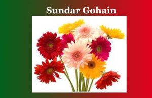 সোন্দৰ গোহাঁই। Sundar Gohain সোন্দৰ গোহাঁই। Sundar Gohain