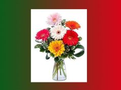 সৌ তাতে | Sou Tate সৌ তাতে Sou Tate