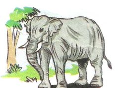 হস্তীৰো পিছলে পাও সজ্জনৰো বুৰে নাও —ভাৱ সম্প্ৰসাৰণ হস্তীৰো পিছলে পাও সজ্জনৰো বুৰে নাও