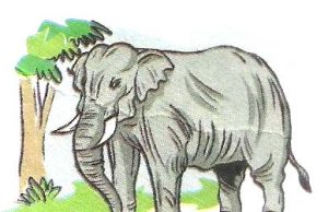 হস্তীৰো পিছলে পাও সজ্জনৰো বুৰে নাও —ভাৱ সম্প্ৰসাৰণ হস্তীৰো পিছলে পাও সজ্জনৰো বুৰে নাও