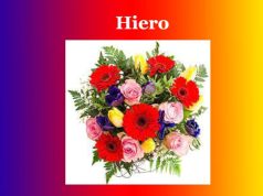 হিৰো | Hiero হিৰো Hiero