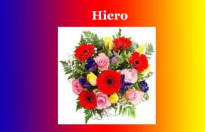 হিৰো | Hiero হিৰো Hiero