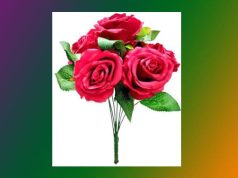 ৰক্ত গোলাপ | Rakta Golap ৰক্ত গোলাপ Rakta Golap