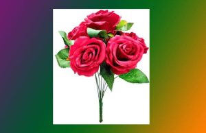 ৰক্ত গোলাপ | Rakta Golap ৰক্ত গোলাপ Rakta Golap