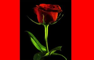 ৰাজেন ৰাভা | Rajen Rava ৰাজেন ৰাভা, Rajen Rava