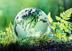 আল-নাবিঘা | Al-Nabigha আল-নাবিঘা Al-Nabigha