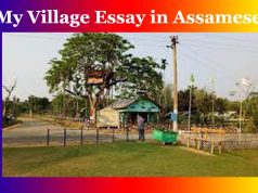 আমাৰ গাওঁ ৰচনা । My Village Essay in Assamese আমাৰ গাওঁ ৰচনা । My Village Essay in Assamese