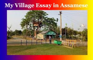 আমাৰ গাওঁ ৰচনা । My Village Essay in Assamese আমাৰ গাওঁ ৰচনা । My Village Essay in Assamese