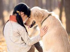 জন্তু প্ৰেম | Love for Animal জন্তু প্ৰেম Love for Animal