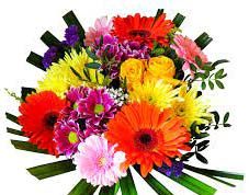 দেৱহুতি | Devahuti দেৱহুতি Devahuti