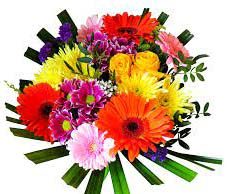 দেৱহুতি | Devahuti দেৱহুতি Devahuti