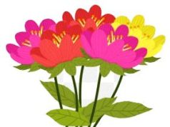 বীৰুবালা ৰাভা | Birobala Rava বীৰুবালা ৰাভা Birobala Rava