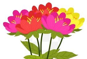 বীৰুবালা ৰাভা | Birobala Rava বীৰুবালা ৰাভা Birobala Rava