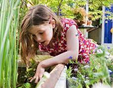 মোৰ দৈনন্দিন জীৱন | My Everyday Life Essay in Assamese মোৰ দৈনন্দিন জীৱন My Everyday Life Essay in Assamese