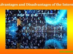 Advantages and Disadvantages of the Internet Advantages and Disadvantages of the Internet