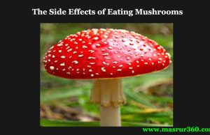 The Side Effects of Eating Mushrooms The Side Effects of Eating Mushrooms