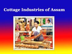Cottage Industries of Assam | Essay Cottage Industries of Assam