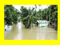 Floods in Assam Essay | Great Flood in Assam Floods in Assam Essay