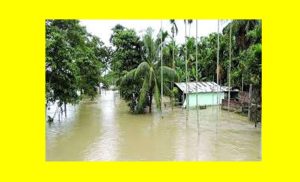 Floods in Assam Essay