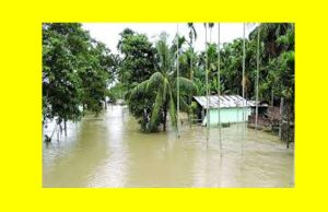 Floods in Assam Essay | Great Flood in Assam Floods in Assam Essay