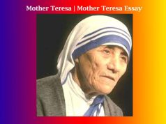 Mother Teresa | Mother Teresa Essay Mother Teresa Mother Teresa Essay