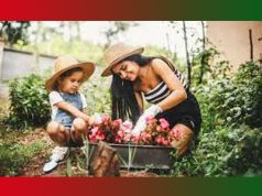 My Hobby Essay | Gardening Essay My Hobby Essay Gardening Essay