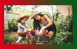 My Hobby Essay | Gardening Essay My Hobby Essay Gardening Essay