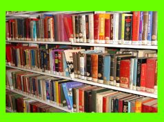 My School Library Essay My School Library Essay