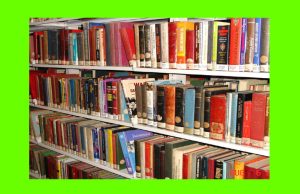 My School Library Essay My School Library Essay