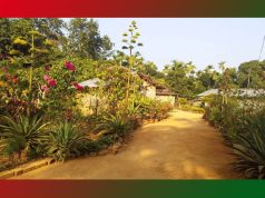 Village Life in Assam Essay Village Life in Assam Essay