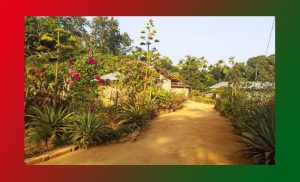 Village Life in Assam Essay