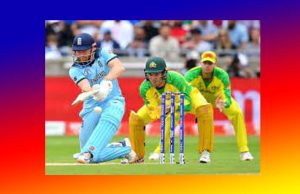 A Cricket Match-Essay A Cricket Match-Essay