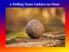 A Rolling Stone Gathers no Moss-An Amplification A Rolling Stone Gathers no Moss-An Amplification
