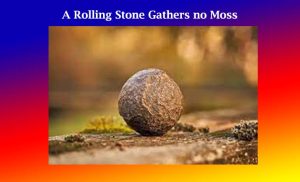 A Rolling Stone Gathers no Moss-An Amplification