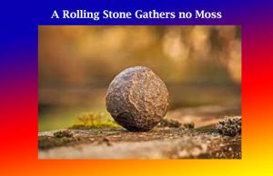 A Rolling Stone Gathers no Moss-An Amplification A Rolling Stone Gathers no Moss-An Amplification