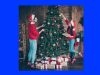 Celebration of Christmas-Essay Celebration of Christmas-Essay