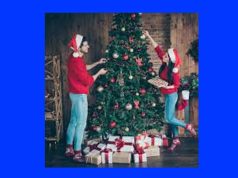 Celebration of Christmas-Essay Celebration of Christmas-Essay