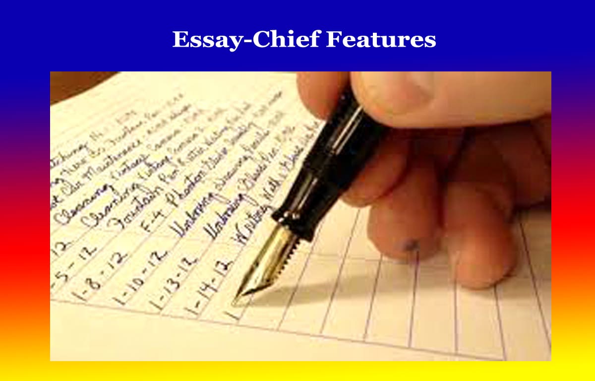 Essay-Chief Features