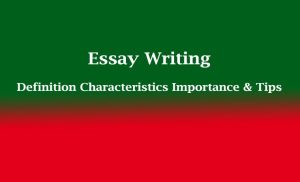 Essay Writing Definition Characteristics Importance & Tips