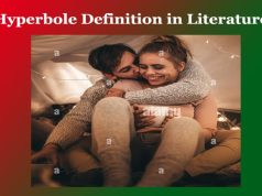 Hyperbole Definition in Literature Hyperbole Definition in Literature