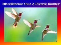 Miscellaneous Quiz-A Diverse Journey Miscellaneous Quiz-A Diverse Journey