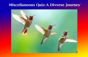 Miscellaneous Quiz-A Diverse Journey Miscellaneous Quiz-A Diverse Journey
