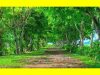 Natural Beauty of Assam Natural Beauty of Assam