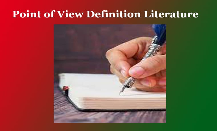 Point of View Definition Literature
