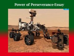 Power of Perseverance-Essay Power of Perseverance-Essay