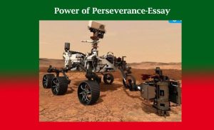 Power of Perseverance-Essay