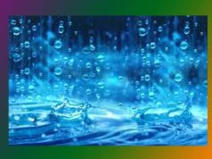 The Rainy Season | Essay The Rainy Season Essay