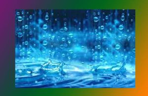 The Rainy Season | Essay The Rainy Season Essay